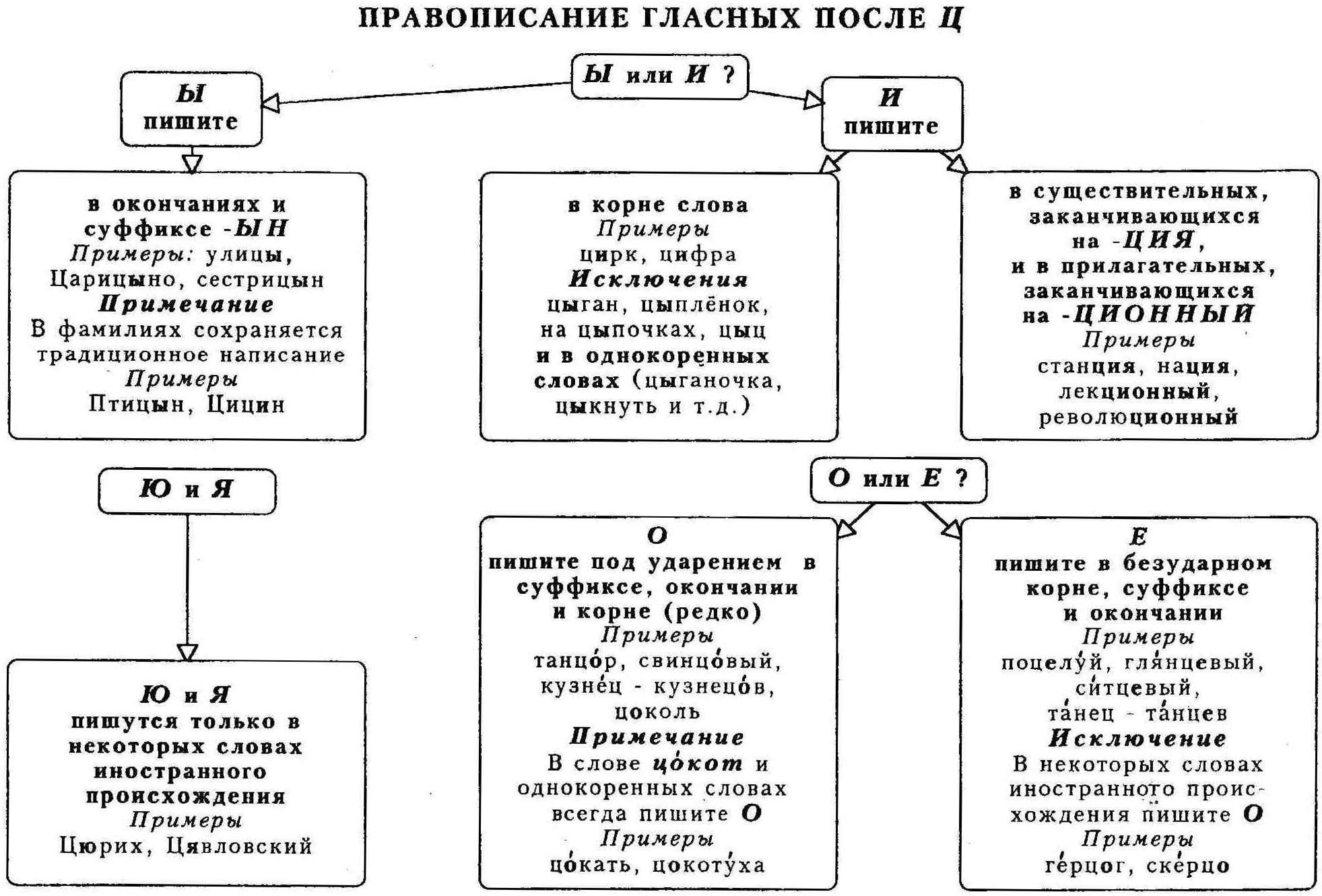 Написание гласной после ц